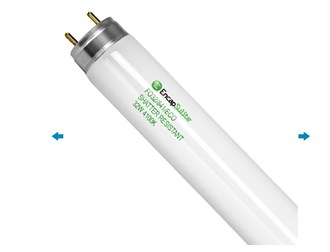 4 ft. Fluorescent T8 with UltraGuard Shatter Resistant Coating 32 Watt - 4100 Kelvin - 3000 Lumens - FO32/841/ECO - EncapSulite S21781T